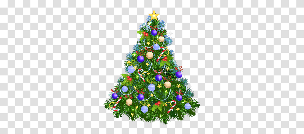 Christmas Tree, Holiday, Ornament, Plant, Vegetation Transparent Png