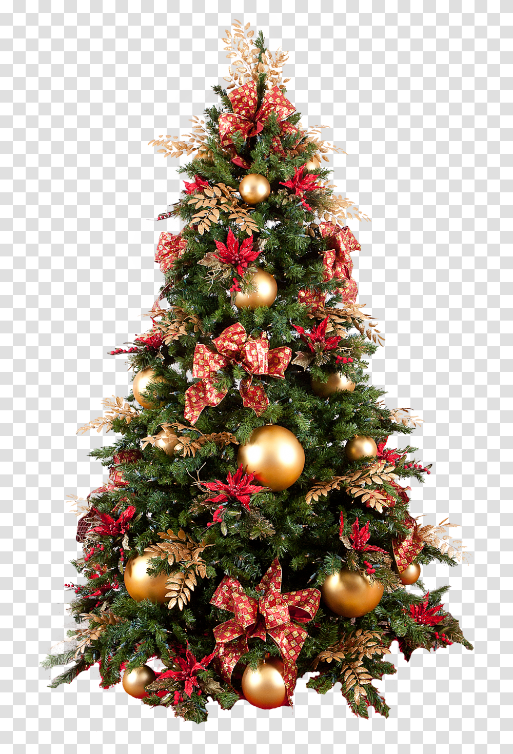 Christmas Tree, Holiday, Ornament, Plant, Vegetation Transparent Png