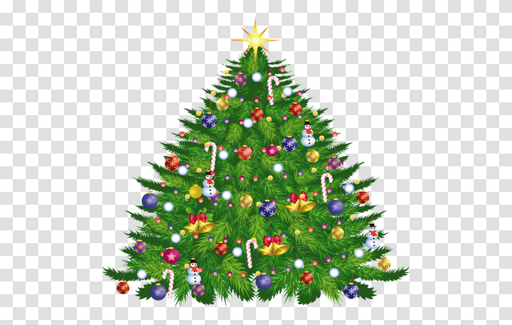 Christmas Tree, Holiday, Ornament, Plant, Vegetation Transparent Png