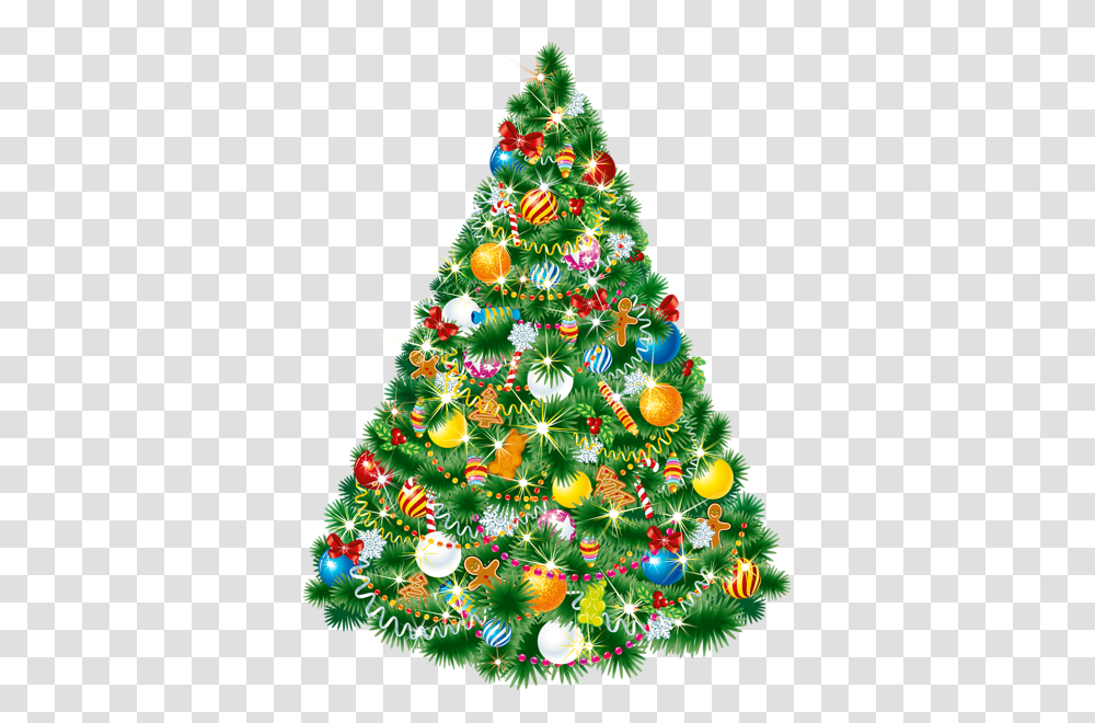 Christmas Tree, Holiday, Ornament, Plant, Vegetation Transparent Png