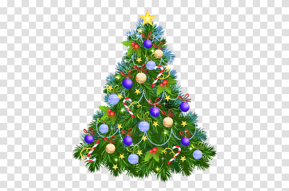 Christmas Tree, Holiday, Ornament, Plant, Vegetation Transparent Png