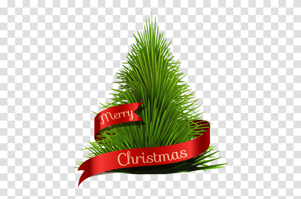 Christmas Tree, Holiday, Plant, Conifer, Grass Transparent Png