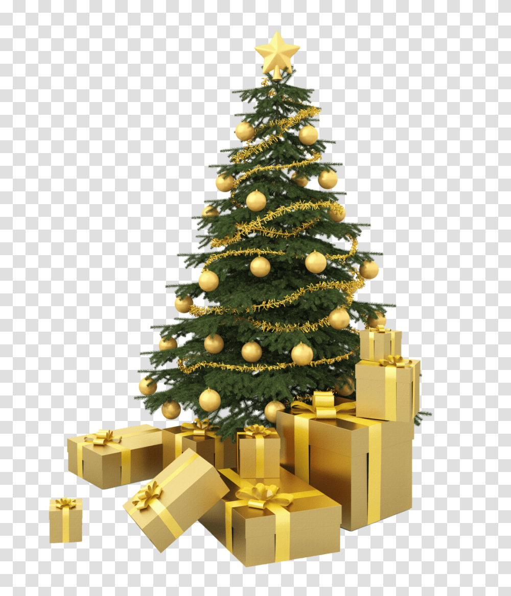 Christmas Tree, Holiday, Plant, Ornament, Pine Transparent Png