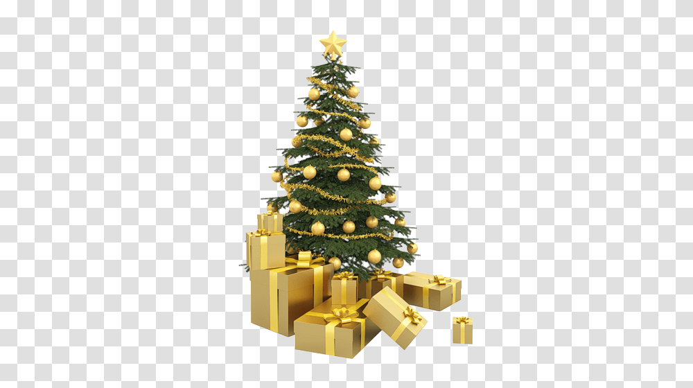 Christmas Tree, Holiday, Plant, Ornament, Pine Transparent Png