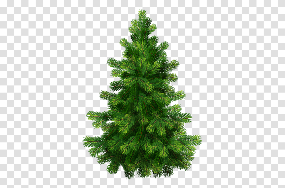 Christmas Tree, Holiday, Plant, Ornament, Pine Transparent Png