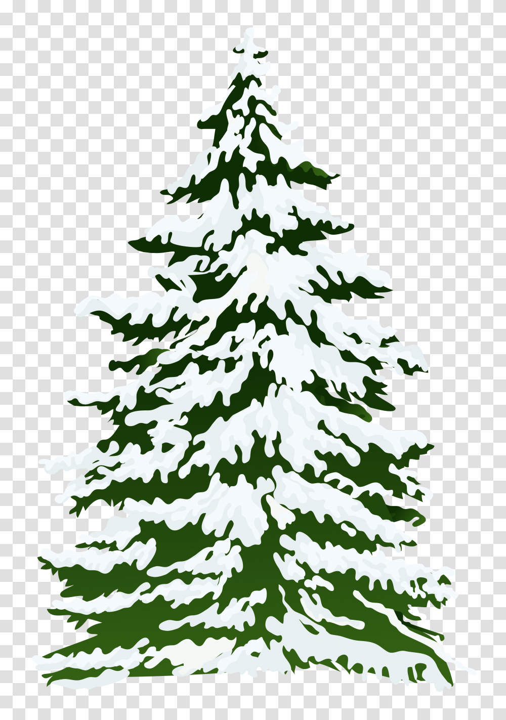 Christmas Tree, Holiday, Plant, Ornament, Pine Transparent Png