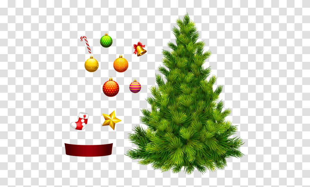 Christmas Tree, Holiday, Plant, Ornament, Pine Transparent Png