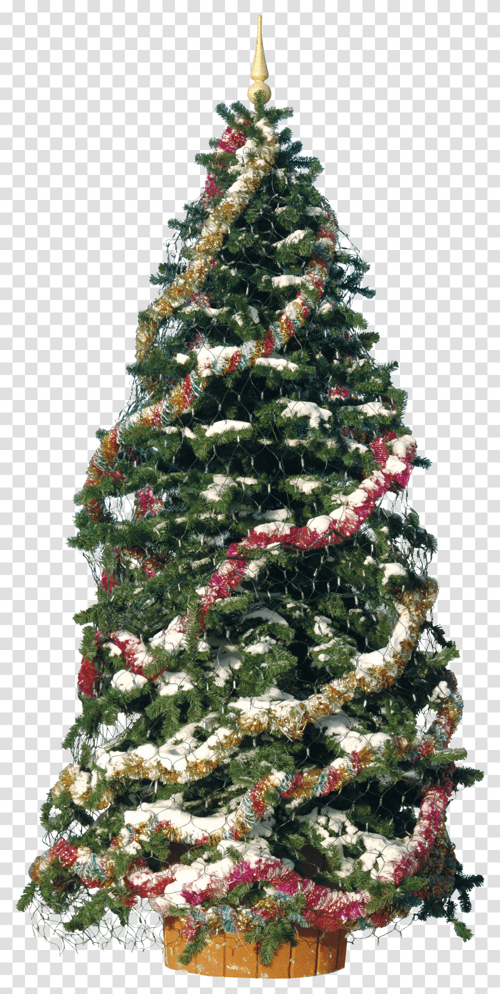 Christmas Tree, Holiday Transparent Png