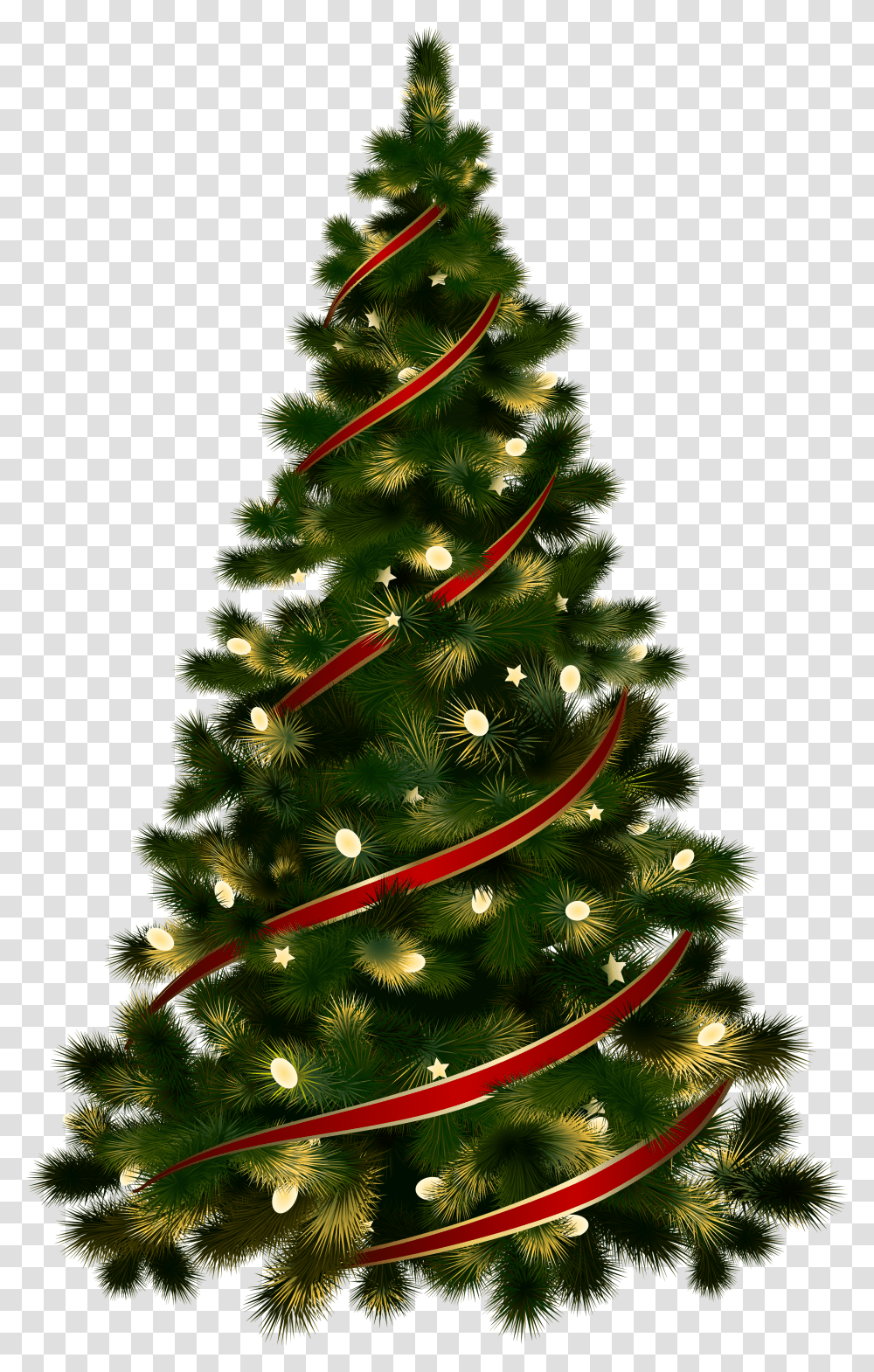 Christmas Tree, Holiday Transparent Png