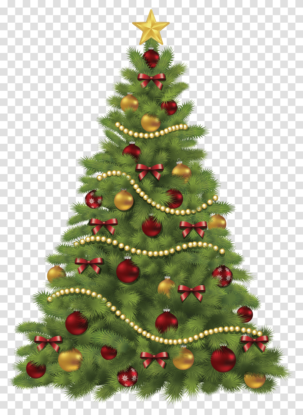 Christmas Tree, Holiday Transparent Png