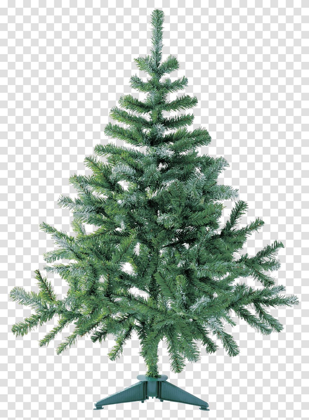 Christmas Tree, Holiday Transparent Png