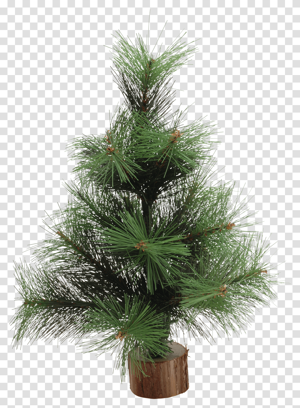 Christmas Tree, Holiday Transparent Png