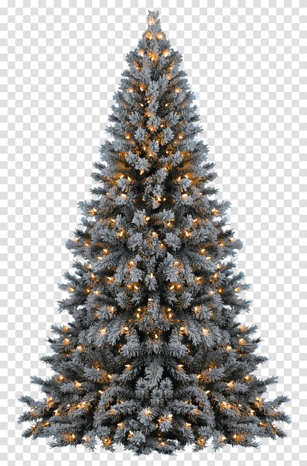 Christmas Tree Hq Image Justin Bieber Christmas Tree, Ornament, Plant, Fir, Abies Transparent Png