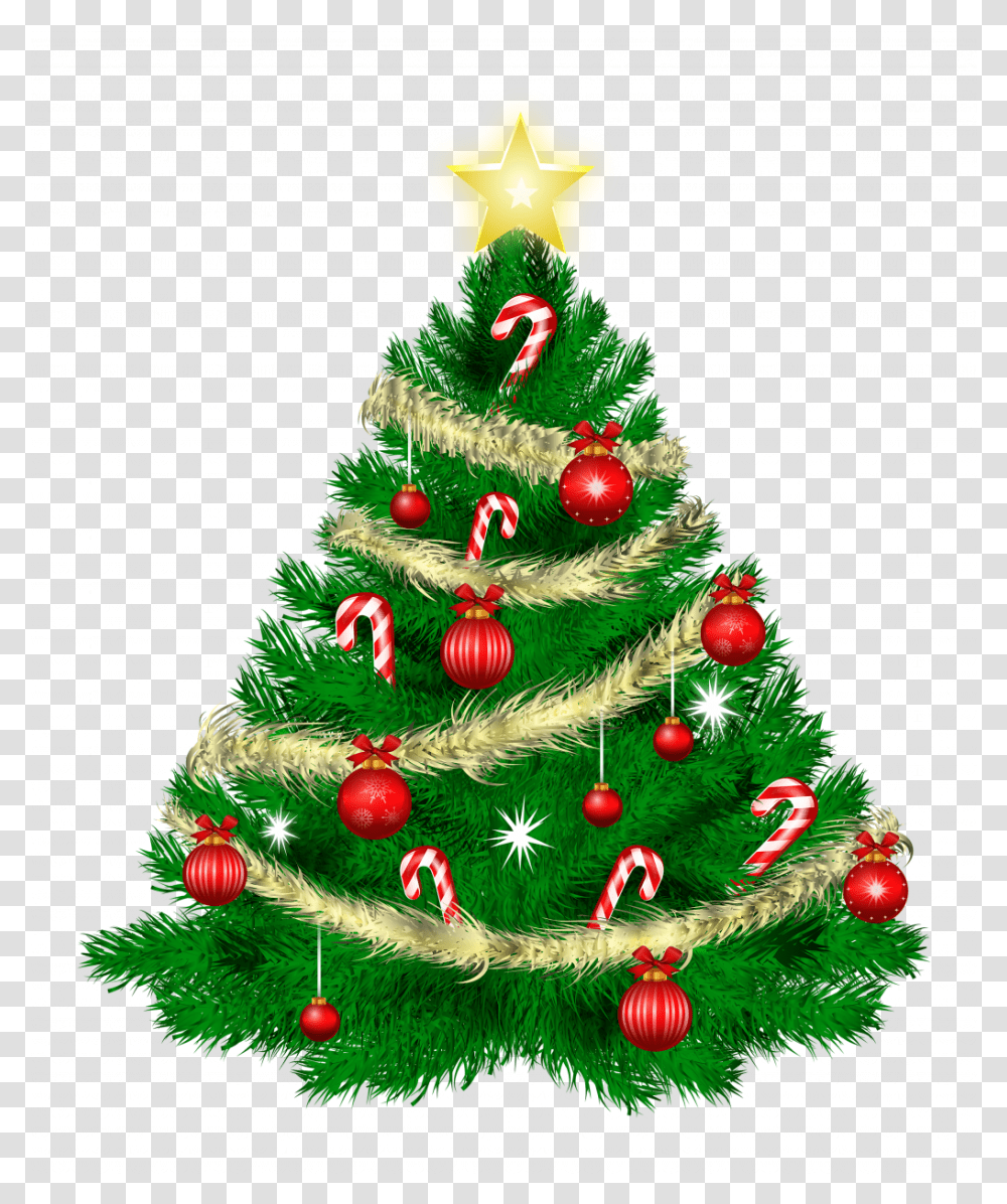 Christmas Tree Icon Facebook Photo Ideas Christmas Tree Background, Ornament, Plant, Bush, Vegetation Transparent Png