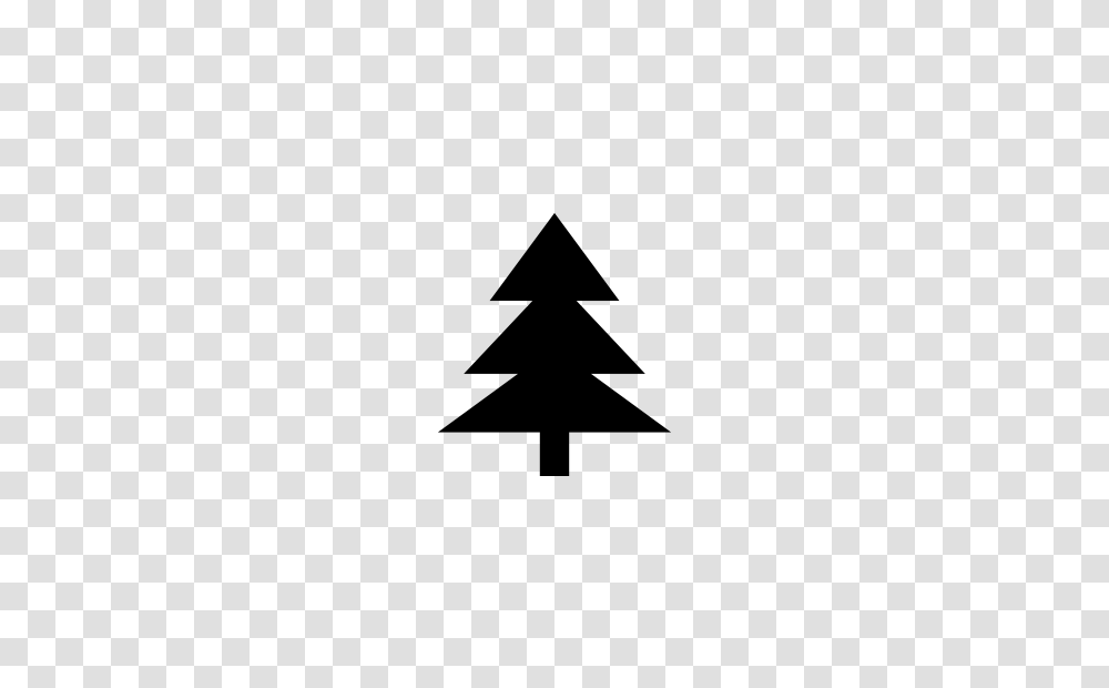 Christmas Tree Icon Vector, Business Card, Number Transparent Png