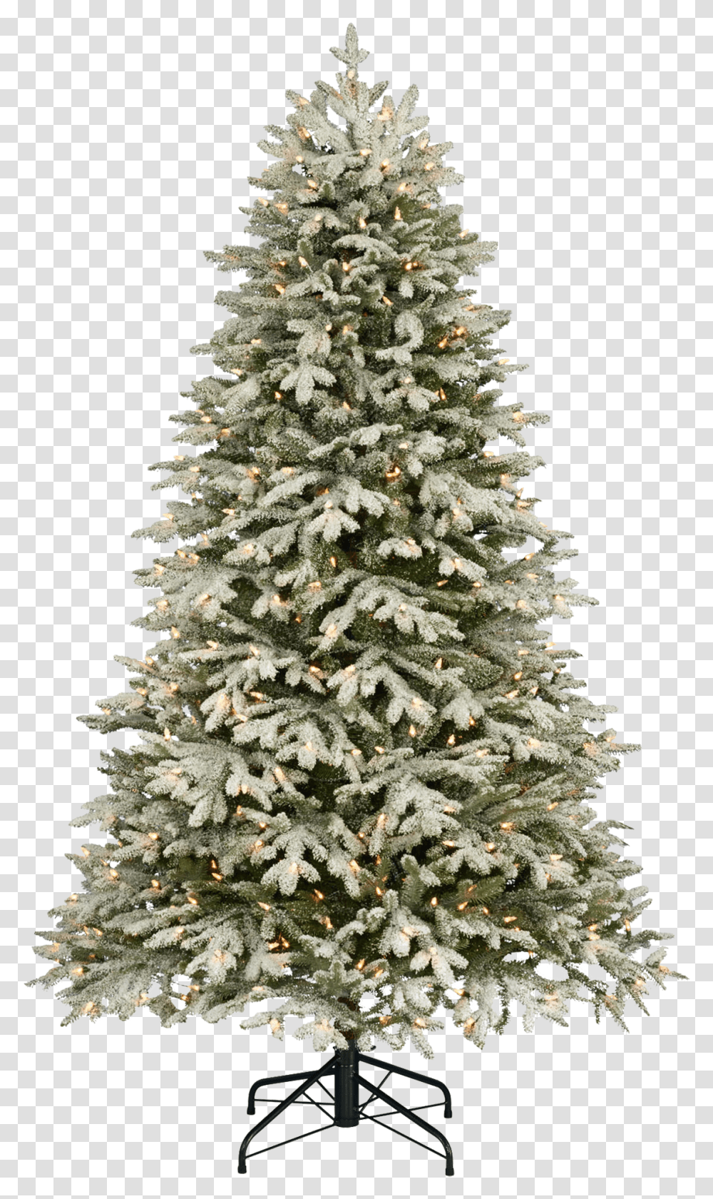 Christmas Tree Image Merry Christmas 2019 Words, Plant, Ornament, Pine, Fir Transparent Png