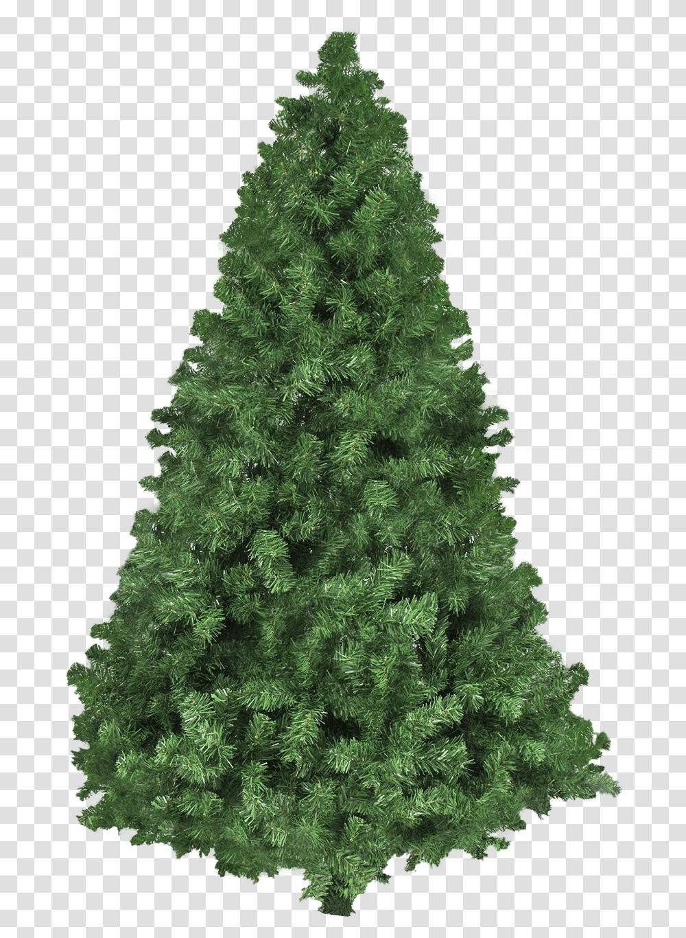 Christmas Tree Image, Ornament, Plant, Pine, Conifer Transparent Png