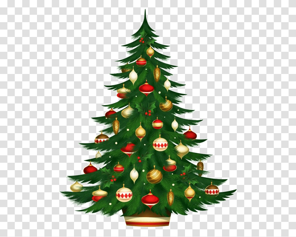 Christmas Tree Images Download, Ornament, Plant Transparent Png