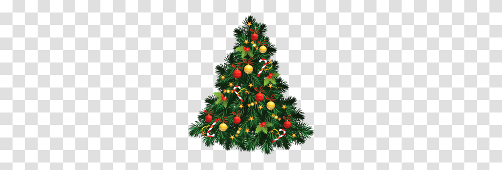 Christmas Tree Images Free, Ornament, Plant, Vegetation, Bush Transparent Png