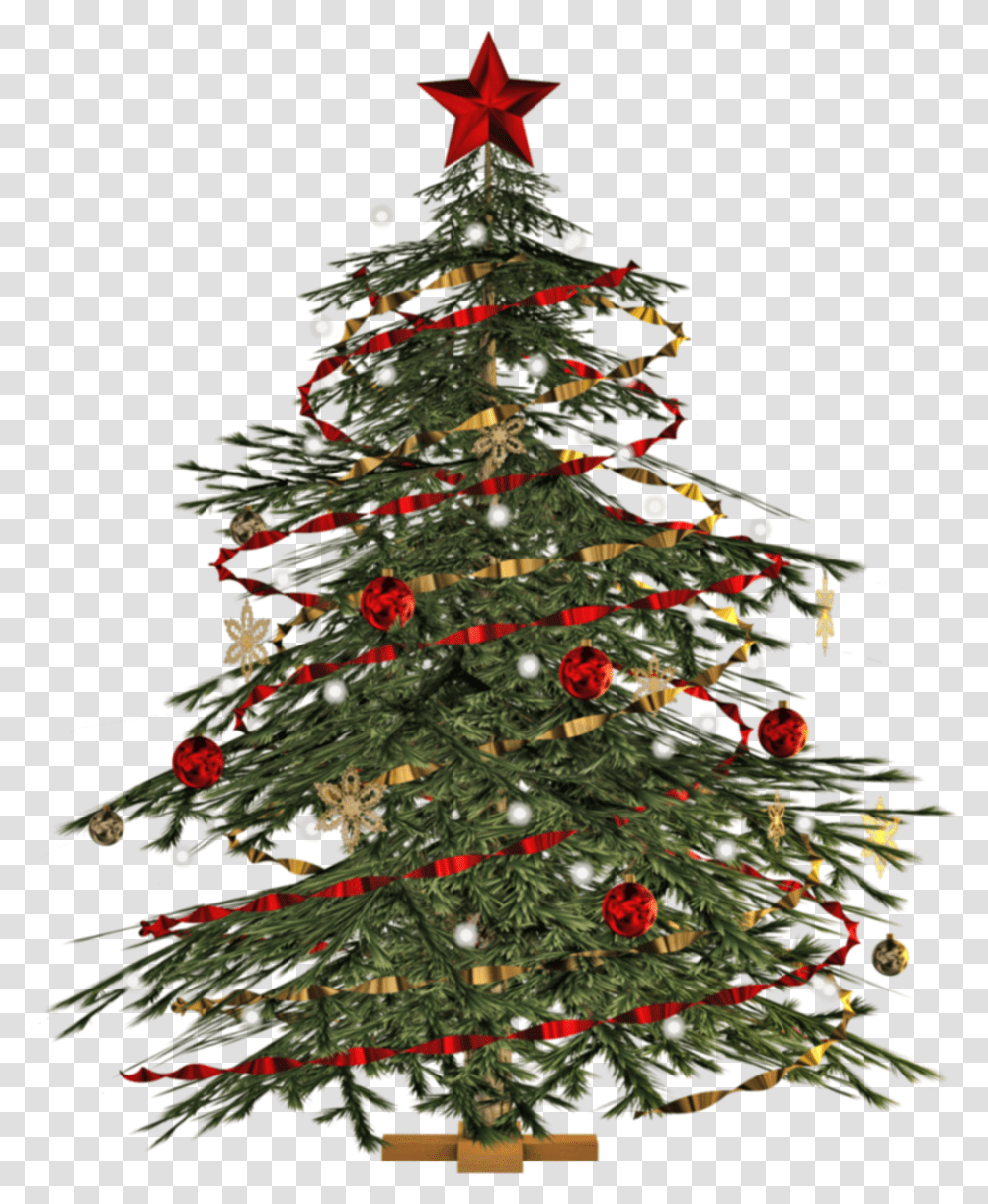 Christmas Tree Images Image Christmas Tree Tree, Ornament, Plant Transparent Png