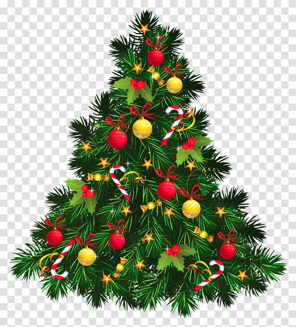 Christmas Tree Images, Ornament, Plant, Bush, Vegetation Transparent Png