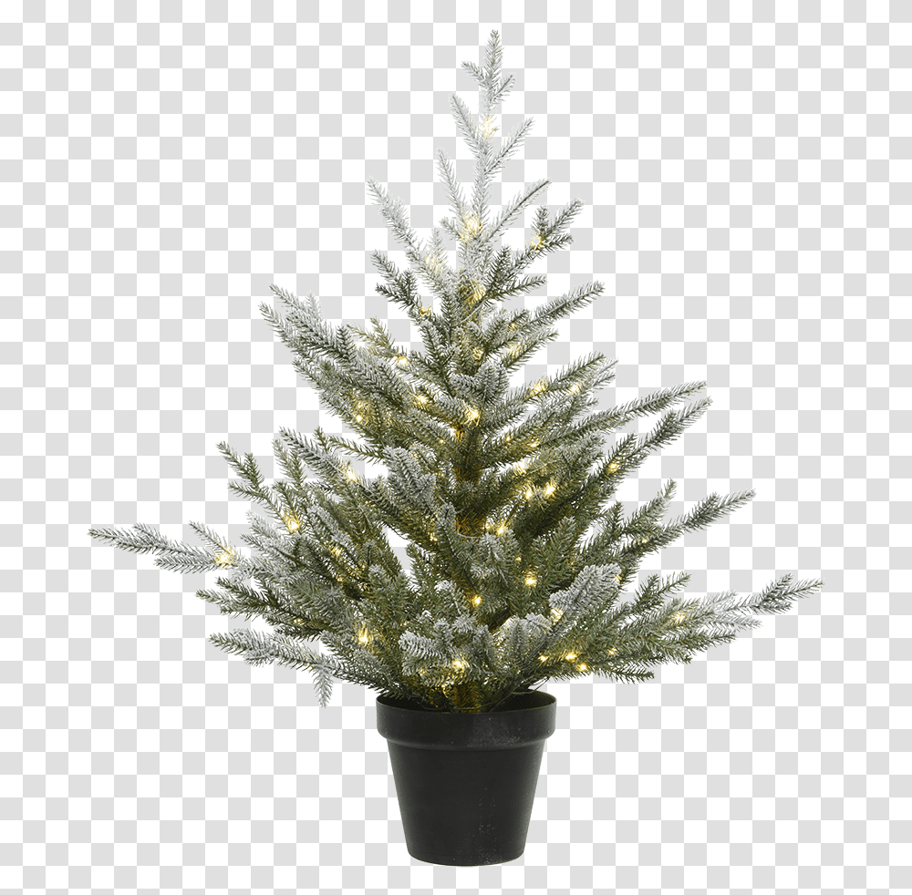 Christmas Tree In A Pot With Led Lighting Christmas Tree, Plant, Ornament Transparent Png