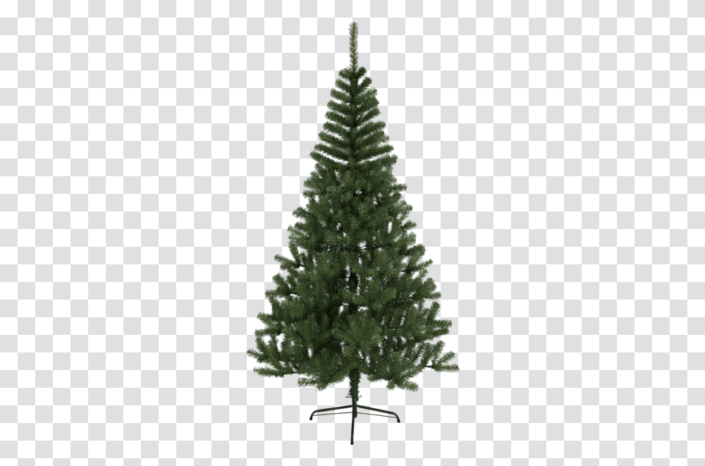 Christmas Tree Kanada Wilko Christmas 7ft Canadian Fir Tree, Plant, Ornament, Pine, Cross Transparent Png