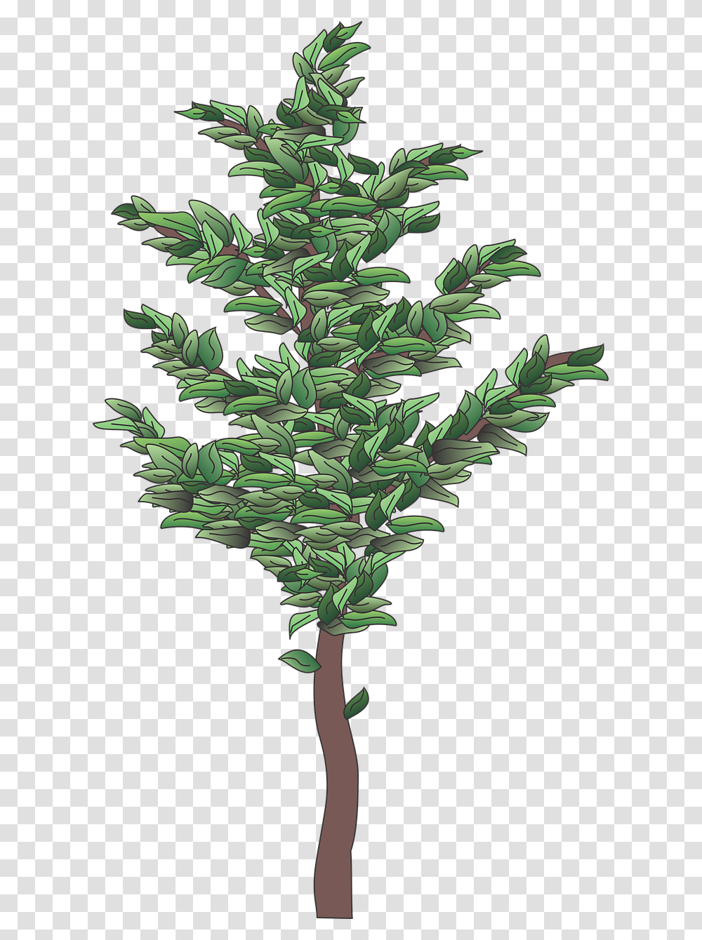 Christmas Tree, Leaf, Plant, Pineapple, Vegetation Transparent Png