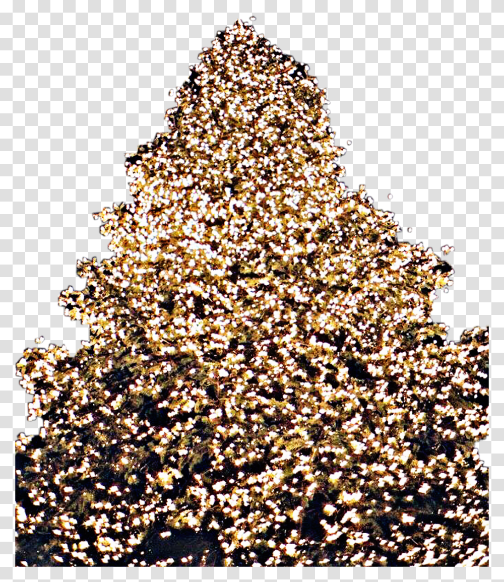 Christmas Tree Lights Christmastree Freetoedit Christmas Tree, Plant Transparent Png