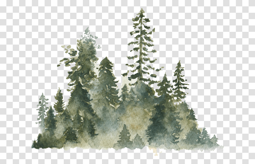 Christmas Tree, Nature, Outdoors, Ice, Frost Transparent Png