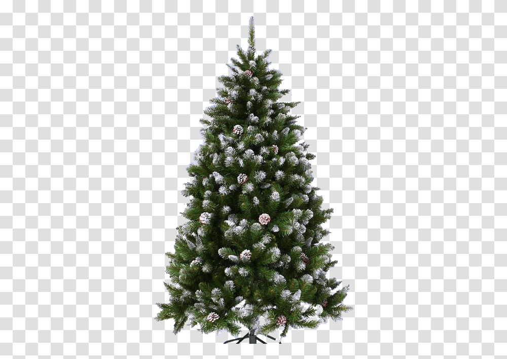 Christmas Tree New Year Tree, Ornament, Plant, Pine Transparent Png