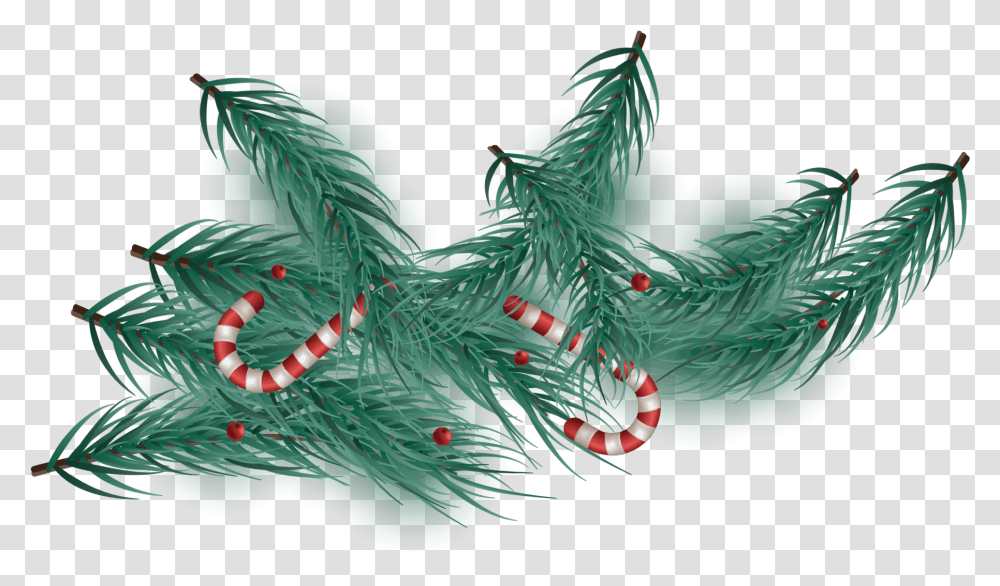 Christmas Tree, Ornament, Pattern, Fractal, Plant Transparent Png
