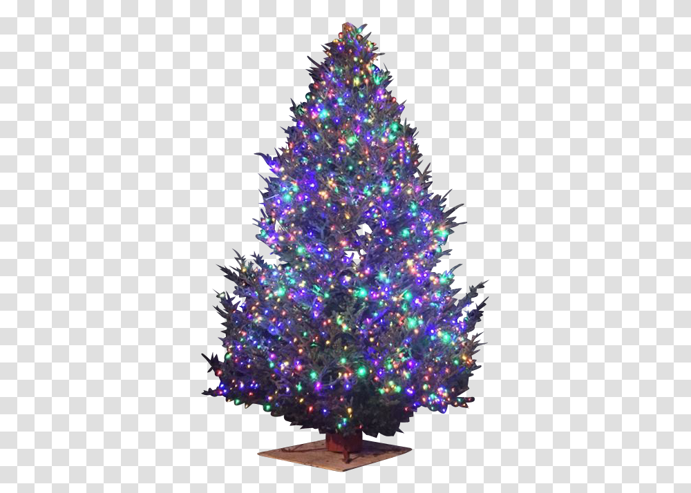 Christmas Tree, Ornament, Plant, Lighting Transparent Png