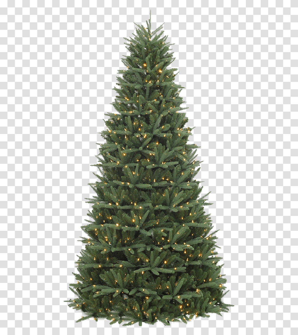 Christmas Tree, Ornament, Plant, Pine, Fir Transparent Png