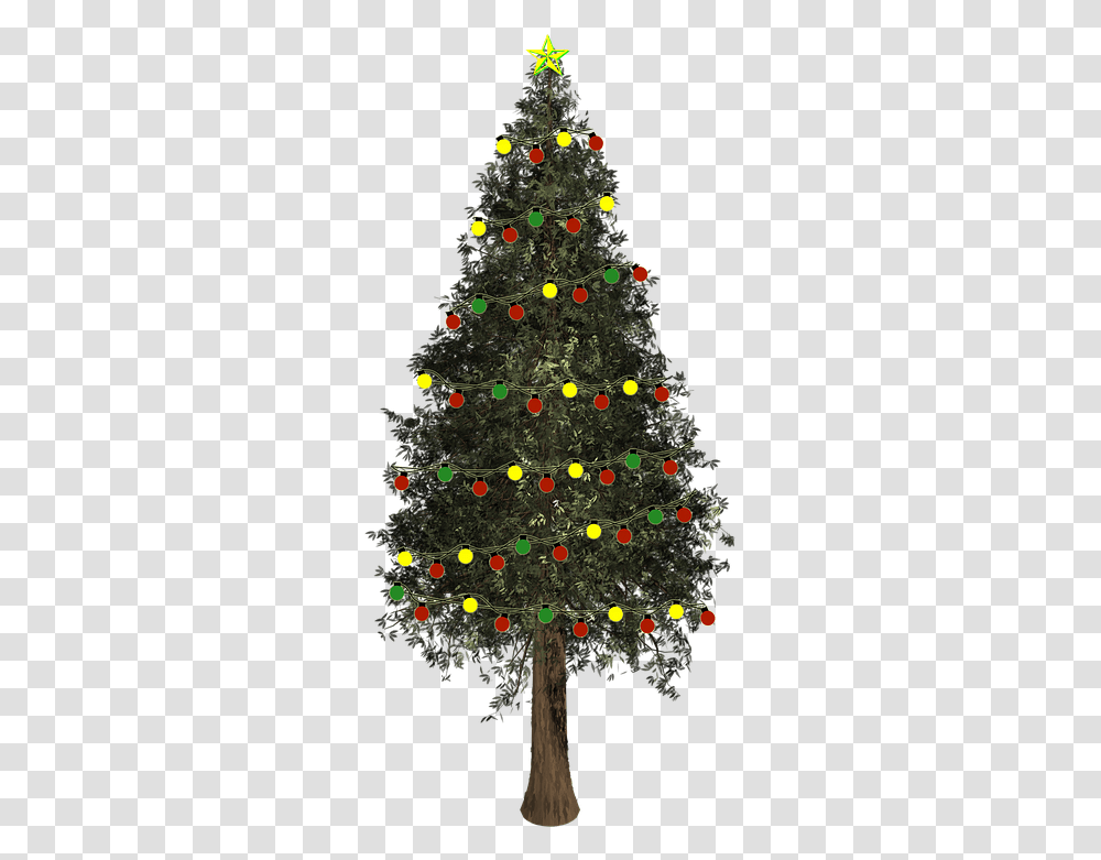 Christmas Tree, Ornament, Plant, Pine Transparent Png