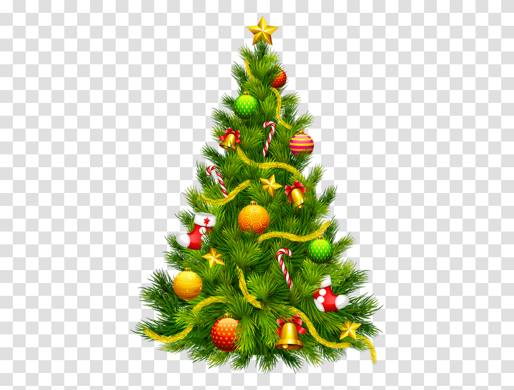 Christmas Tree, Ornament, Plant, Pine Transparent Png