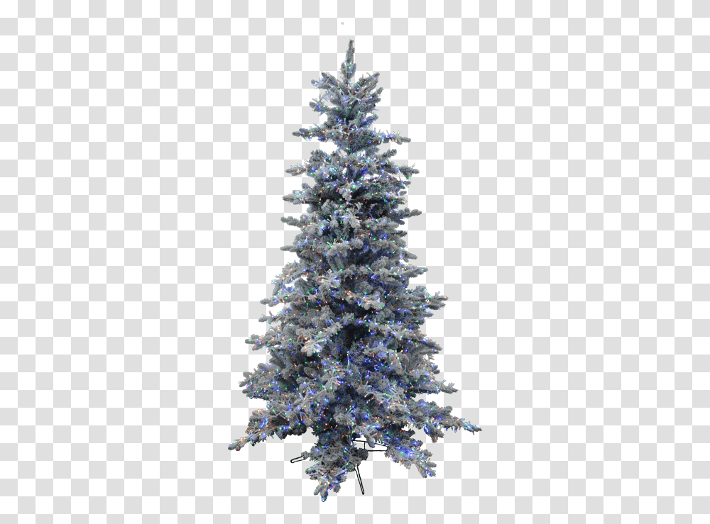 Christmas Tree, Ornament, Plant Transparent Png