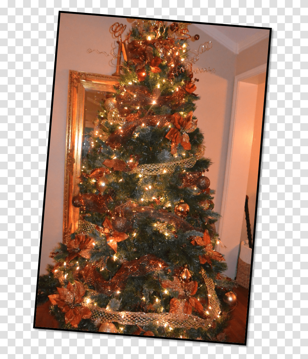 Christmas Tree, Ornament, Plant Transparent Png