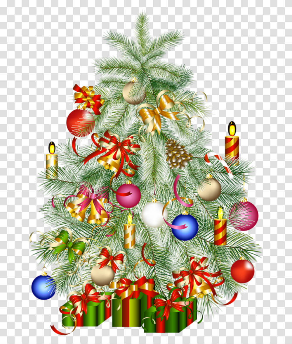 Christmas Tree, Ornament, Plant Transparent Png