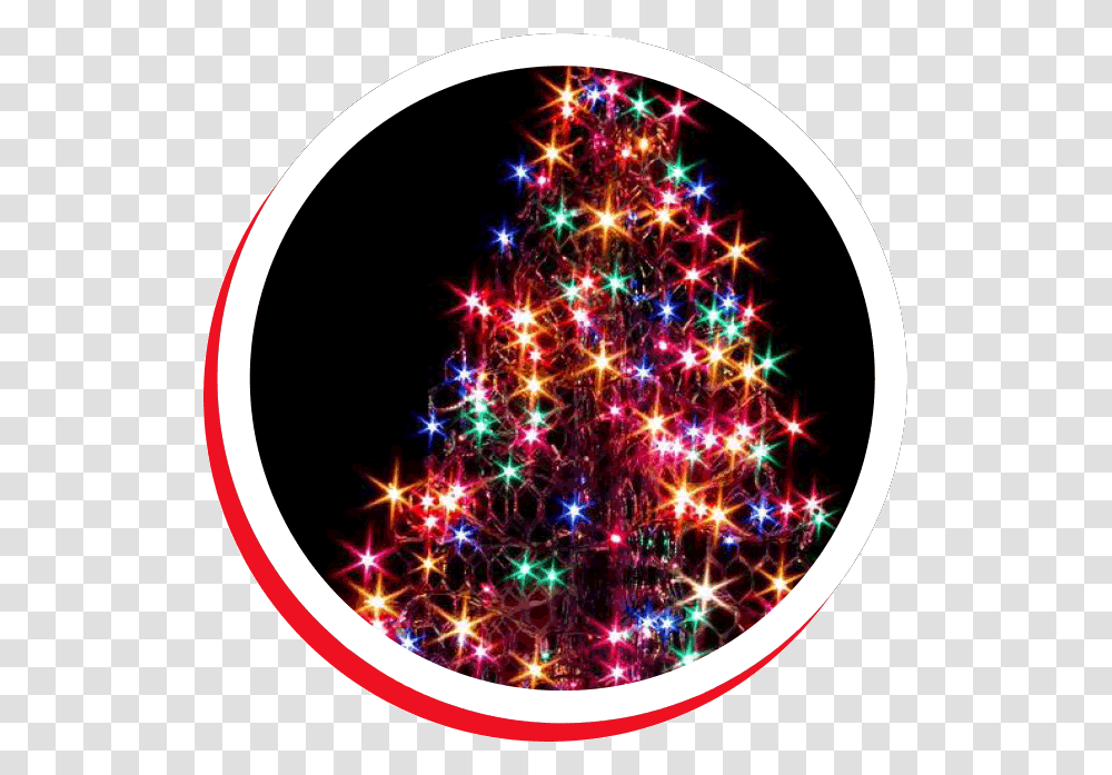 Christmas Tree Outdoor Decorated, Ornament, Plant, Pattern, Fractal Transparent Png