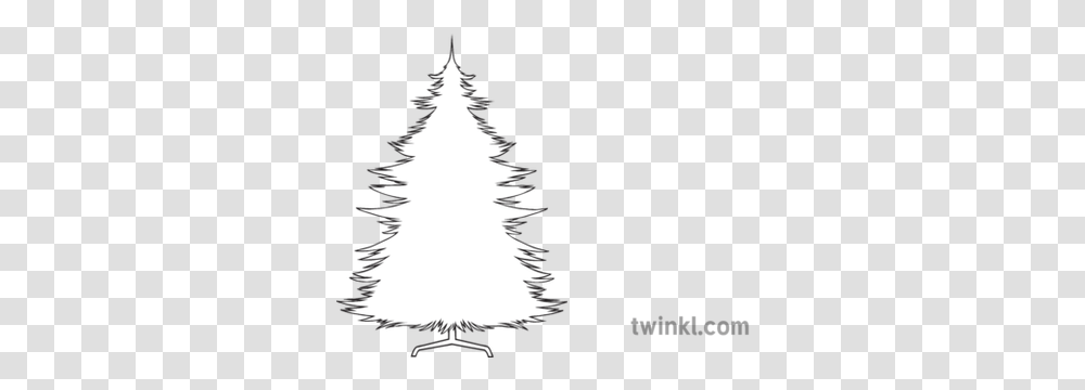 Christmas Tree Outline Black And White Illustration Twinkl Sparrow Cartoon Images Drawing, Plant, Ornament, Pine, Silhouette Transparent Png