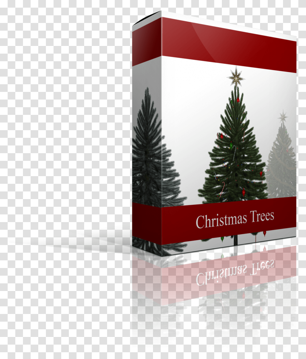 Christmas Tree Overlays Christmas Ornament, Plant, Pine, Fir, Abies Transparent Png