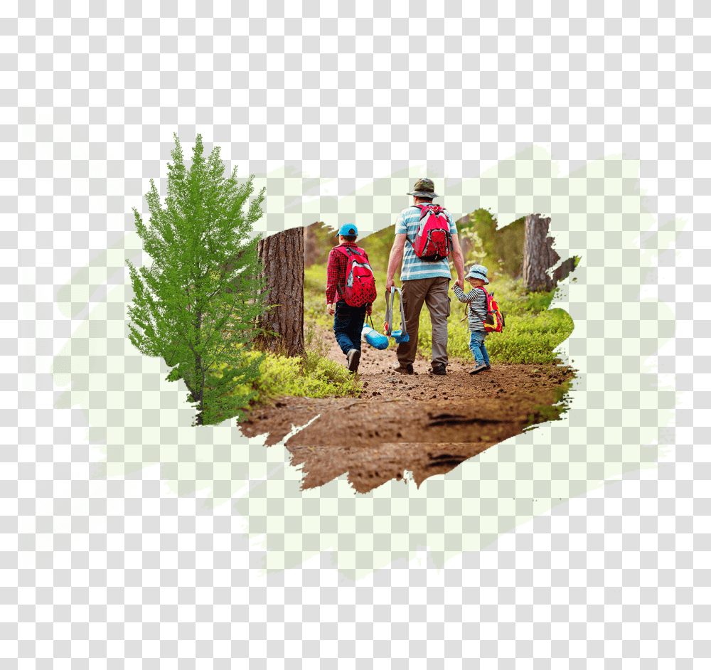 Christmas Tree, Person, Outdoors, Nature, Green Transparent Png