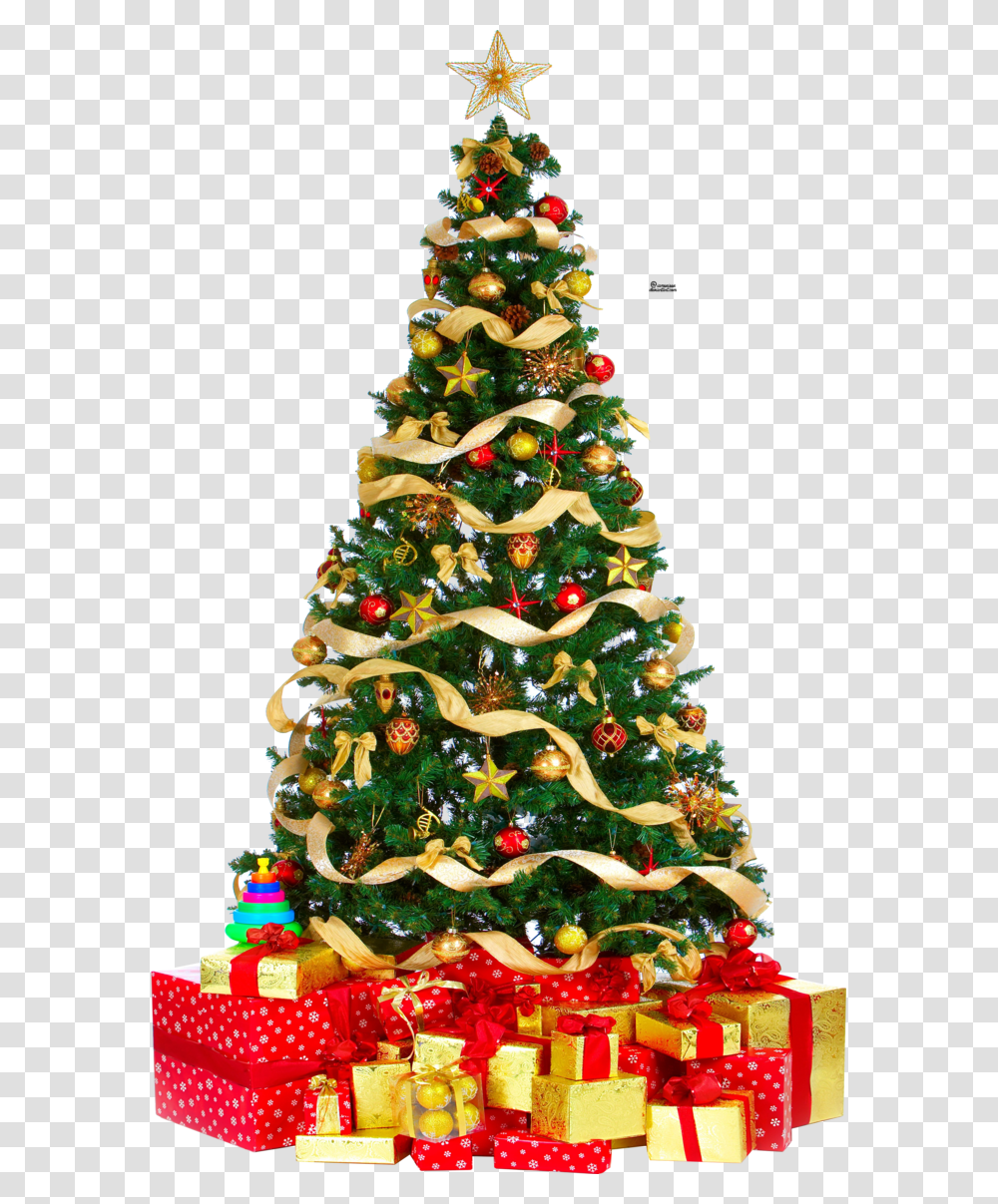 Christmas Tree Pic Christmas Tree Download, Plant, Ornament, Vegetation, Bush Transparent Png