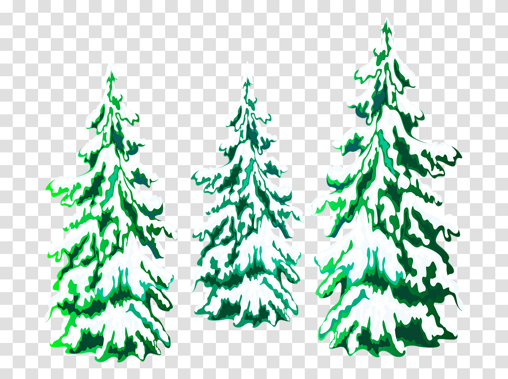 Christmas Tree Pine Trees Snow Pinos De Navidad En, Plant, Ornament, Fir, Abies Transparent Png
