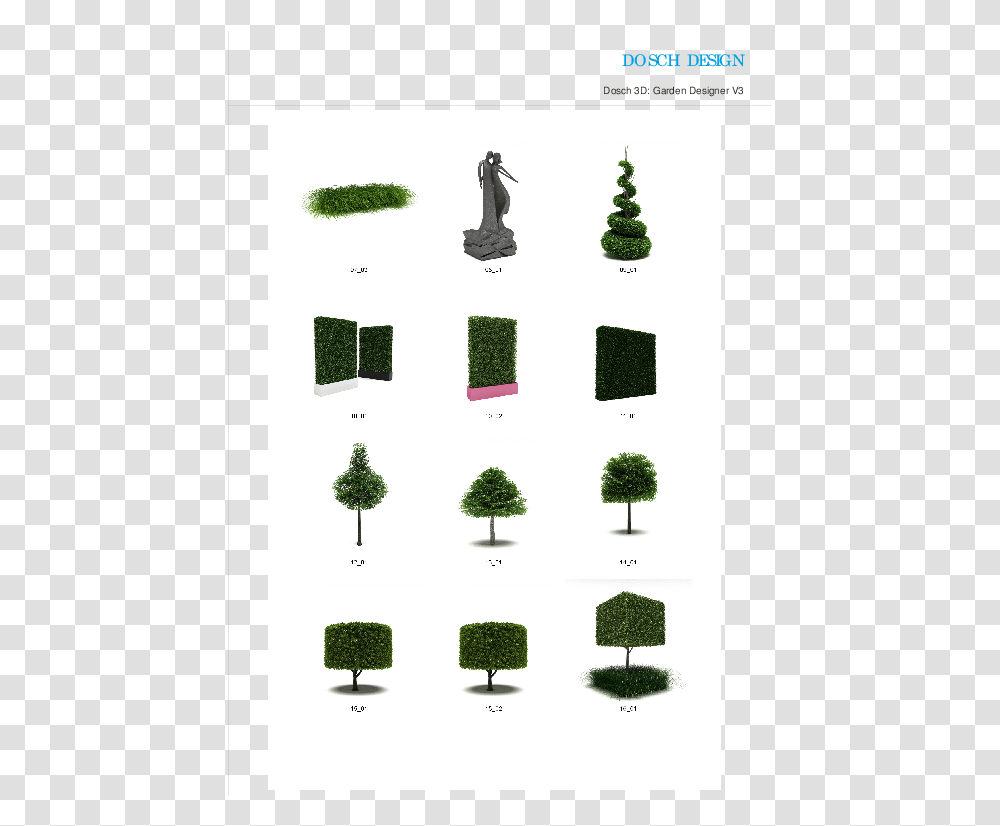 Christmas Tree, Plant, Conifer, Pine, Rug Transparent Png
