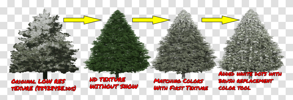 Christmas Tree, Plant, Fir, Abies, Conifer Transparent Png
