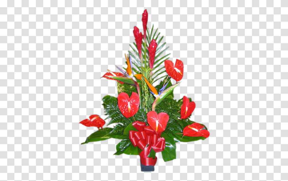 Christmas Tree, Plant, Flower, Blossom, Anthurium Transparent Png