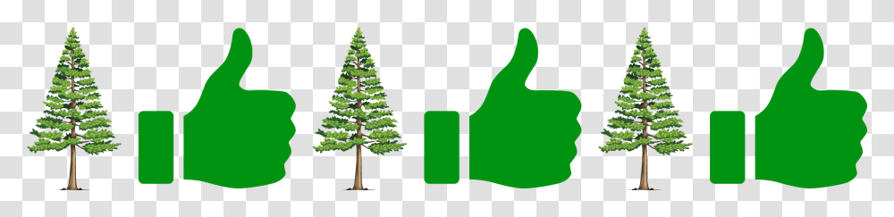 Christmas Tree, Plant, Green, Vegetation Transparent Png