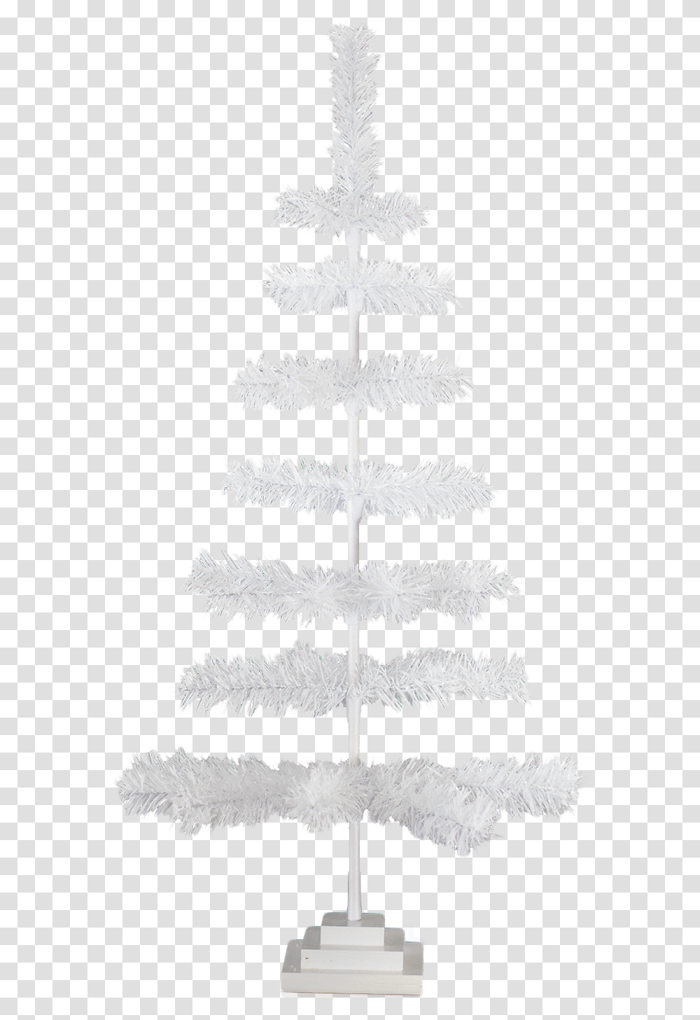 Christmas Tree, Plant, Ice, Outdoors, Nature Transparent Png